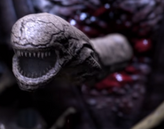 A Chestburster emerging from Tremor in Mortal Kombat X