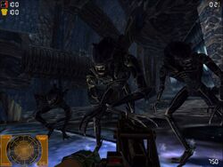 Aliens vs. Predator 2: Primal Hunt online multiplayer has been restored!