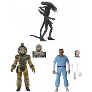 40th anniversary pack Wave 3.