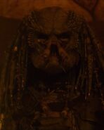 Close-up of Greyback.