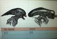 Concept art from Prometheus,[5] showing a comparison between the original Xenomorph from Alien and the Deacon.