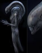 Concept art of a new Xenomorph, by Carlos Huante.[27]