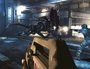 Crushy.jpg (10 KB) In battle.