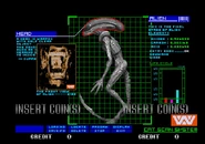 Runnercatscanheada3tg.jpg (109 KB) A cat scan of the Runner's head from Alien3: The Gun.