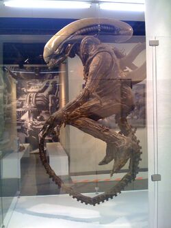 alien 1979 xenomorph