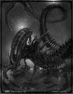 Concept art of a new Xenomorph type by Farzad Varahramyan.