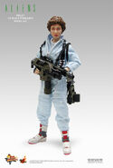 MMS figure #22 of Ripley.