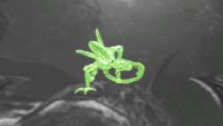 窗口58
