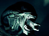 Xenomorph(Alien)