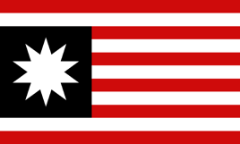 Flag of United Americas