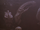 Unidentified Species