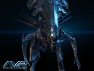 A Queen as seen in AVP: Evolution.