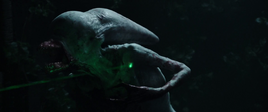 The Neomorph (10)