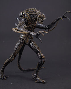 Alien Vs Predator – 7″ Scale Action Figure – Alien Assortment (Movie Deco)  –