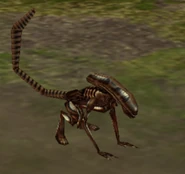 Runner by sl 8426-d92so5f.png (316 KB) The Runner in Aliens versus Predator: Extinction