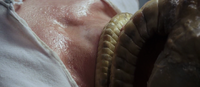 A Facehugger's tail wrapped around Kane's throat