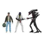 40th Anniversary Assortment 2 figures.