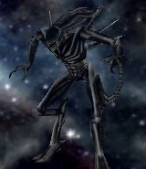 A Praetorian in AVP2.