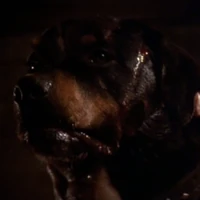 Spike Xenopedia Fandom Some how aliens got into this puppies head. spike xenopedia fandom