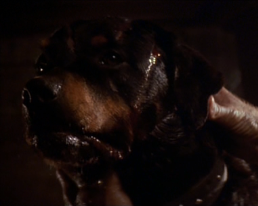 xenomorph dog alien 3