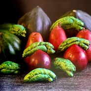 Alien Queen Empanadas.