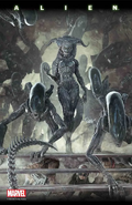 Cover to issue 6 by Barends.