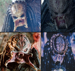 Predator-unmasked