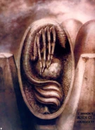 Giger012.jpg (252 KB)