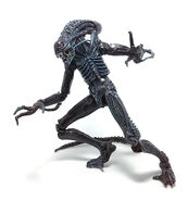 Series 2 figure of a Xeno Warrior (blue tinted).