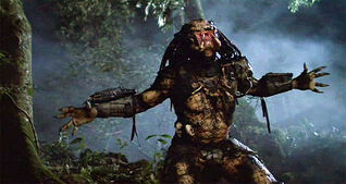 Predator-pic3