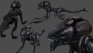 800px-AliensCrucibleModelRender04.jpg (51 KB) Model of the Xenomorph variant.