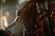 Behind the scenes still of the Alien