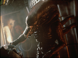 Xenomorph XX121 (Alien)