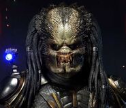 Sideshow Collectibles bust of the Fugitive Predator