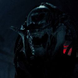 Category:Alien vs. Predator (film) characters, Xenopedia