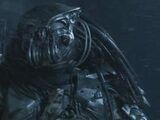 Celtic (Predator)