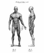 806824c56a8f0ed1990f5fd6c9b606fe.jpg (78 KB) 806824c56a8f0ed1990f5fd6c9b606fe