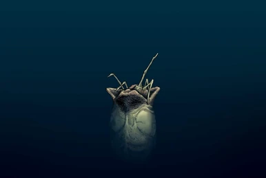 Alien 3: The Unproduced First-Draft Screenplay (novel) | Xenopedia