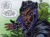 T'Challa