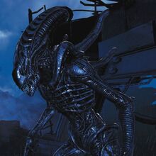 alien xenomorph warrior
