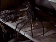 The Royal Facehugger, photographed in the Alien3 special effects workshop.