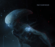 An image of a Neophyte from Alien: The Roleplaying Game.