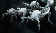 Pathogen Poppers