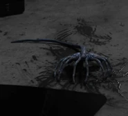 Prop of the Facehugger.[10]