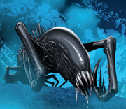 Xeno Tuber
