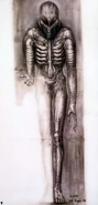 Giger001.jpg (152 KB)