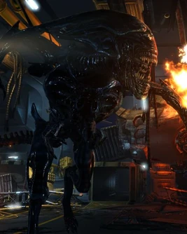 Second Acheron Queen