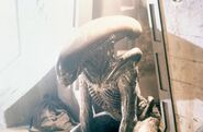 Woodruff as the Alien in Alien3.[8]