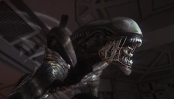 Alien: Isolation | Xenopedia | Fandom
