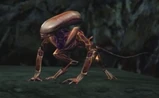 A Runner Alien, as it appears in Primal Hunt